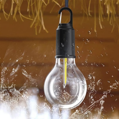 Rechargeable Portable Led Bulb